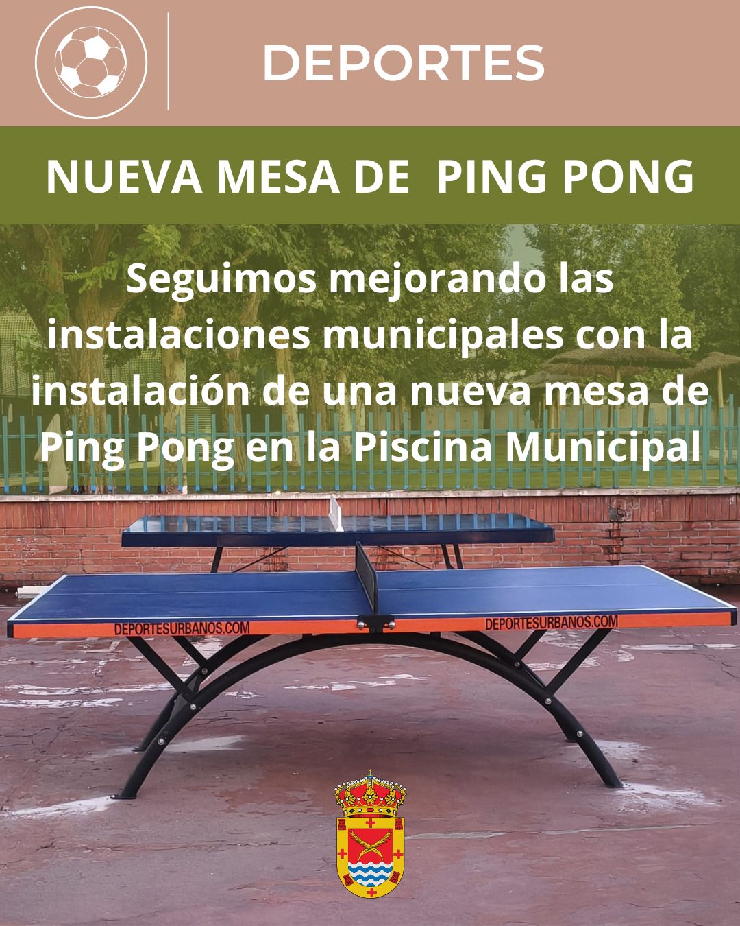 mesa ping pong